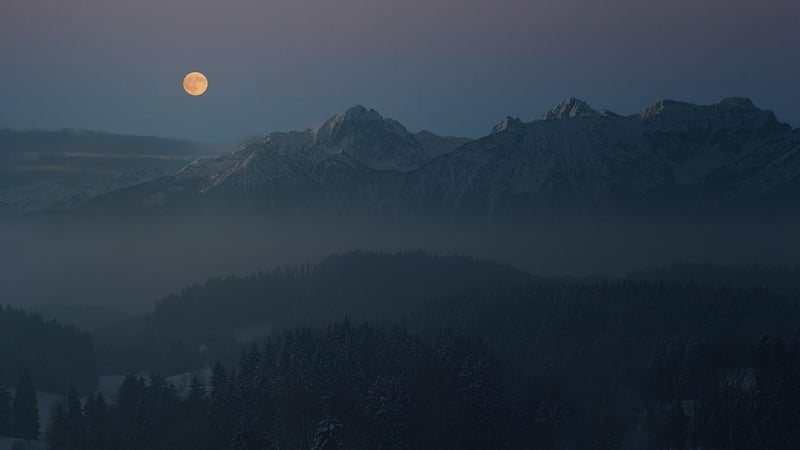 Moonlit Romance